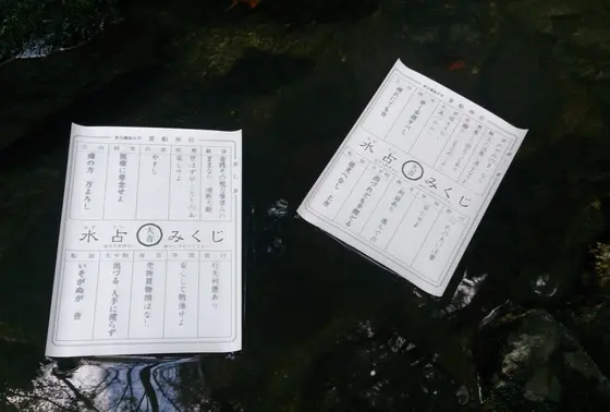 水占い