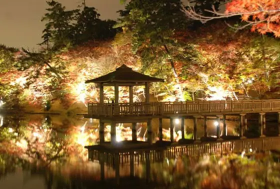 池に映える紅葉