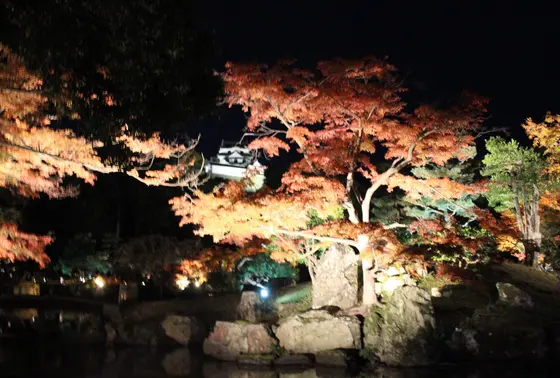 玄宮園より彦根城を見る