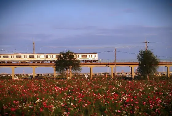 電車がきた～