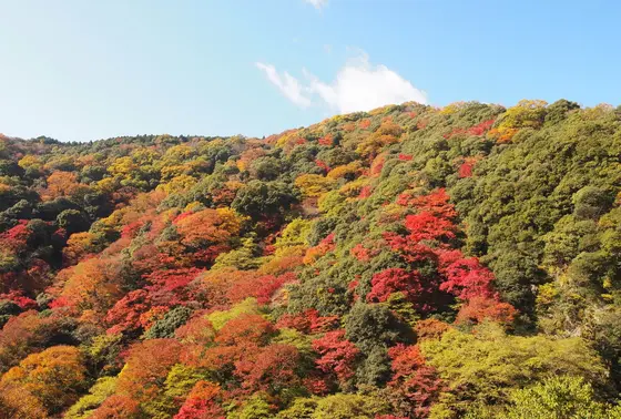 山の景色