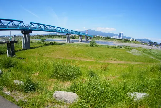 相模川が一望できる、この景色は最高♪