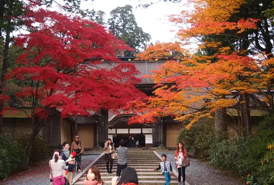高野山真言宗総本山 金剛峯寺