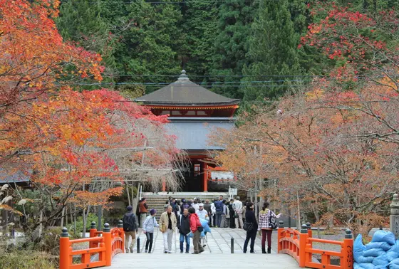 奥の院　英霊殿周辺