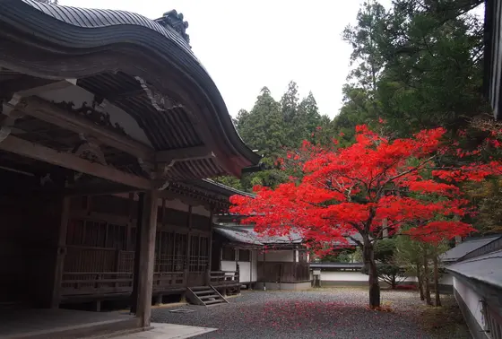 奥の院　御供所