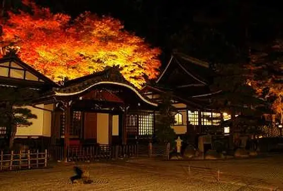 紅葉のライトアップ