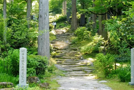 墓地への道