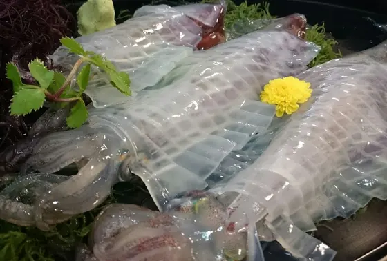 イカのお造り
