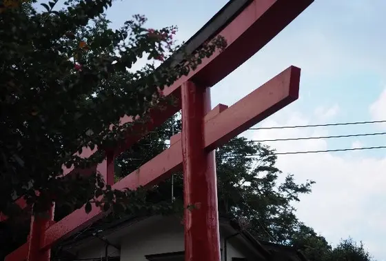 ド迫力の真っ赤な鳥居