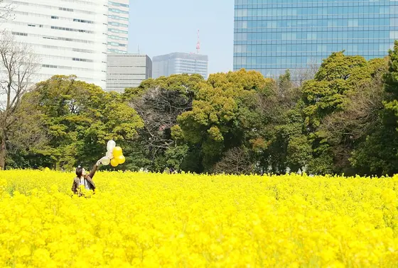 遠くから