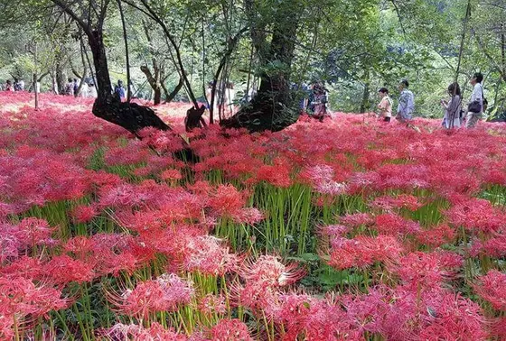 多彩