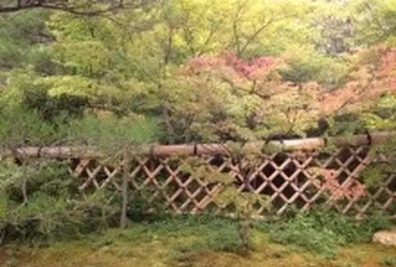 光悦寺垣