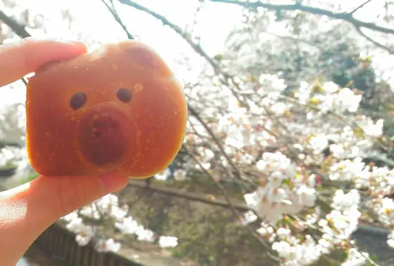 桜とパチリ☆