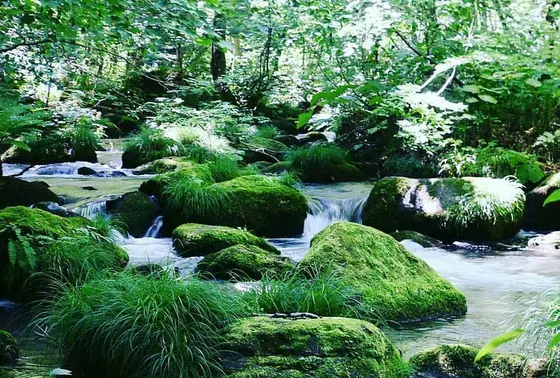 もののけみたい