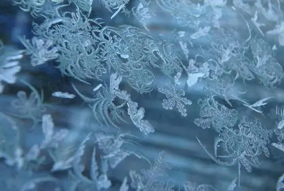 1月は本気の寒さ