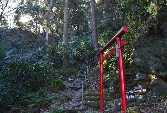ハイキングコース