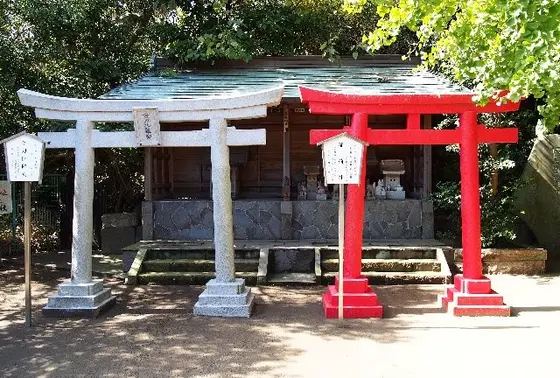 一瞬、紅白にも見えるかも。