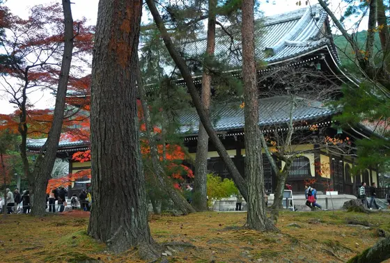 三門と境内