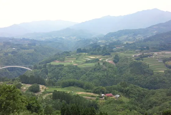 国見ケ丘