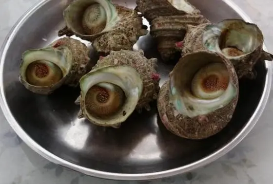 海女さんの食堂