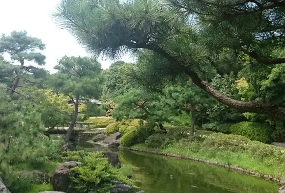 緑が多くて全てが癒し