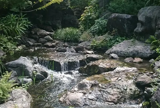 見てるだけで少し涼めました。