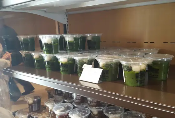 生茶ゼリイ抹茶