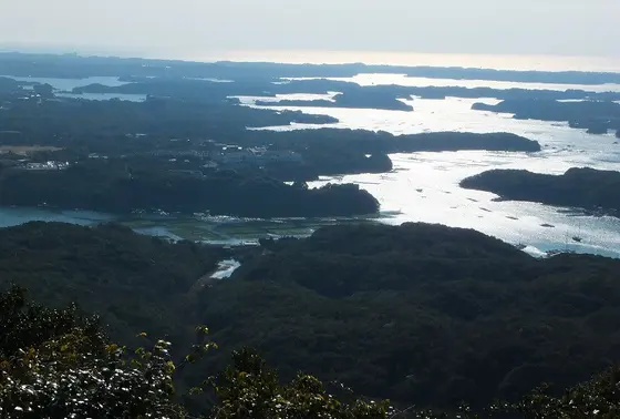 展望その1(海苔の養殖)