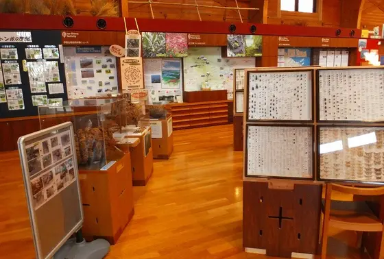 ビジターセンター