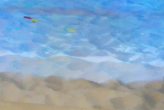 魚が映る砂場