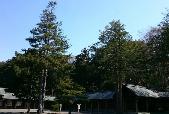 空気も澄んでました。