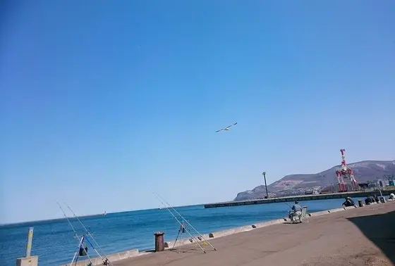 ボケーっと眺めてるのに最高❗