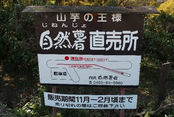 お土産だったら自然薯がオススメです。