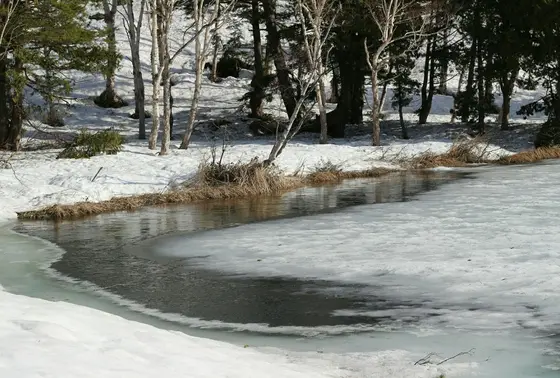 えっっ凍ってる