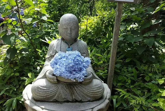 お地蔵さんも紫陽花持っていらっしゃる❤