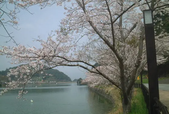 池の内池サイクリング