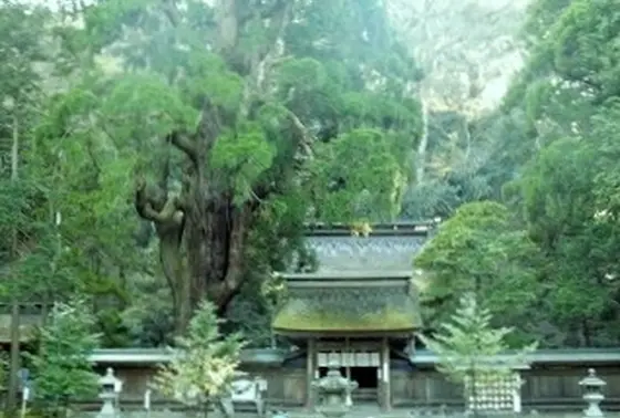振り返ってもう一度…！
