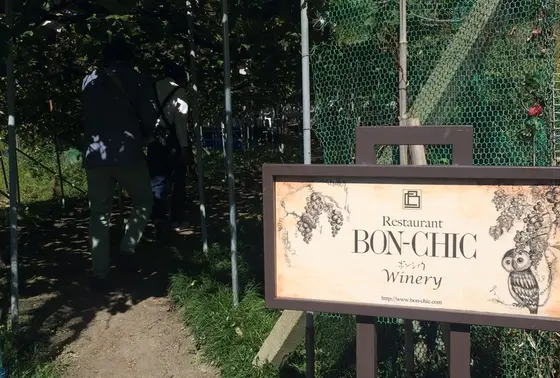 ボンシィク葡萄畑