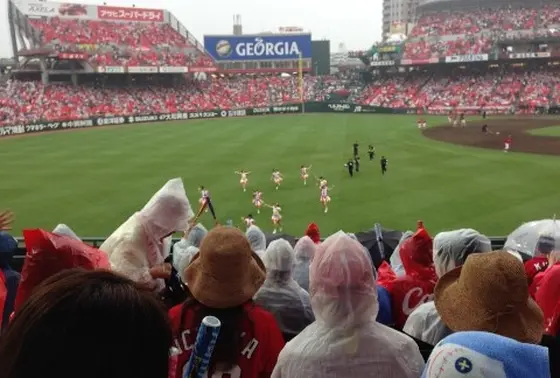フィールドは全面天然芝