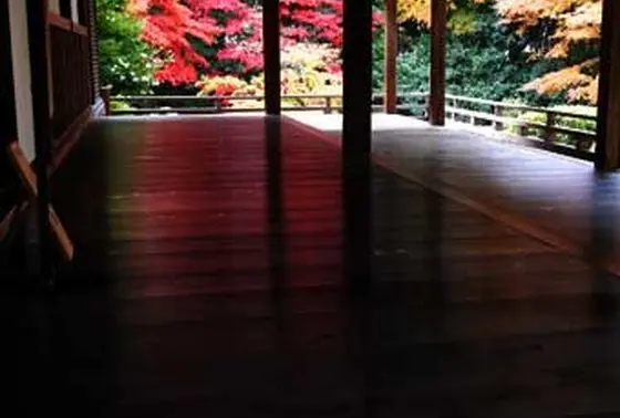 ここも床もみじ