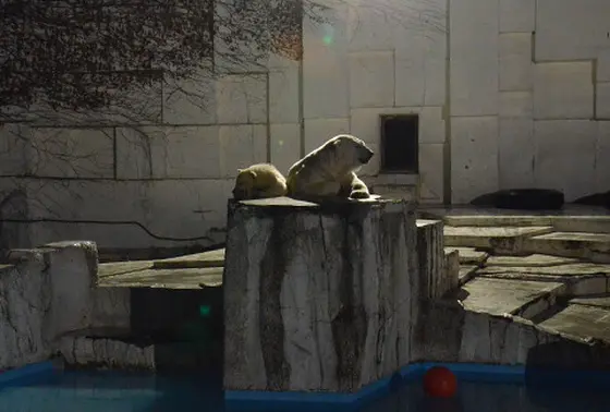 カルチャーナイト（7月）