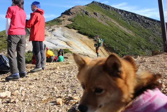 犬連れ登山基本7原則