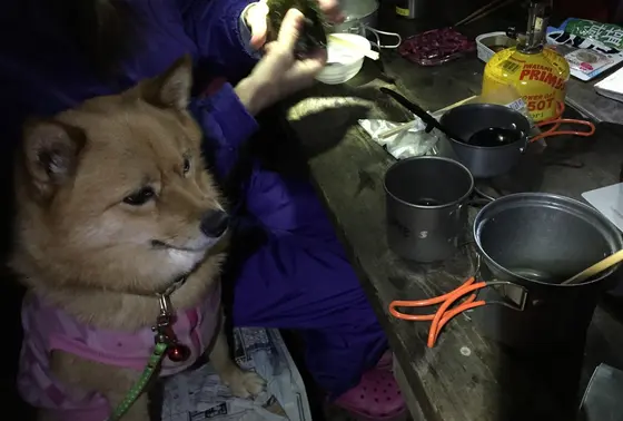 アウトドアでの夕食の楽しみ♪