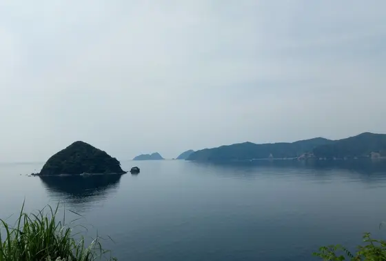 絶景です