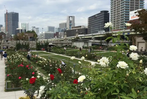 中之島バラ園