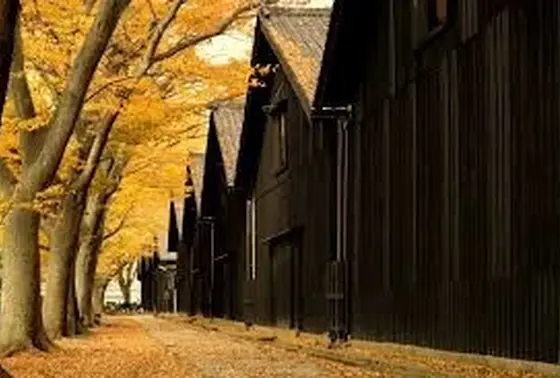紅葉の季節