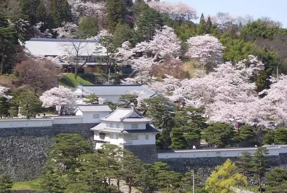 春の公園