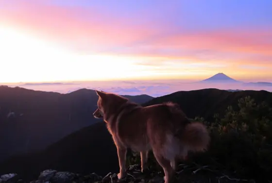 ラムちんの登山ブログは?