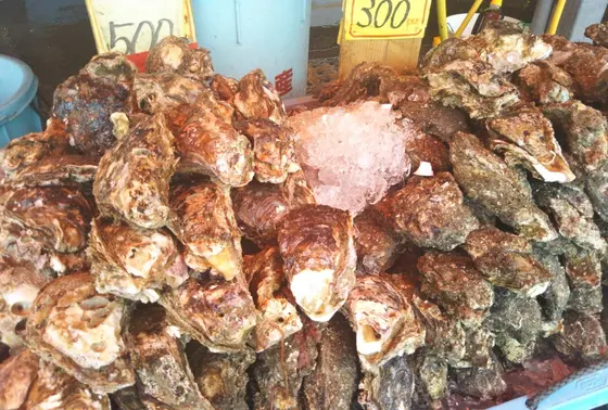 牡蠣はその場で食べられますよ。