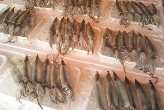 色んな魚が安く買えます!